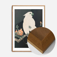 Cockatoo Parrot Antique Japanese Print