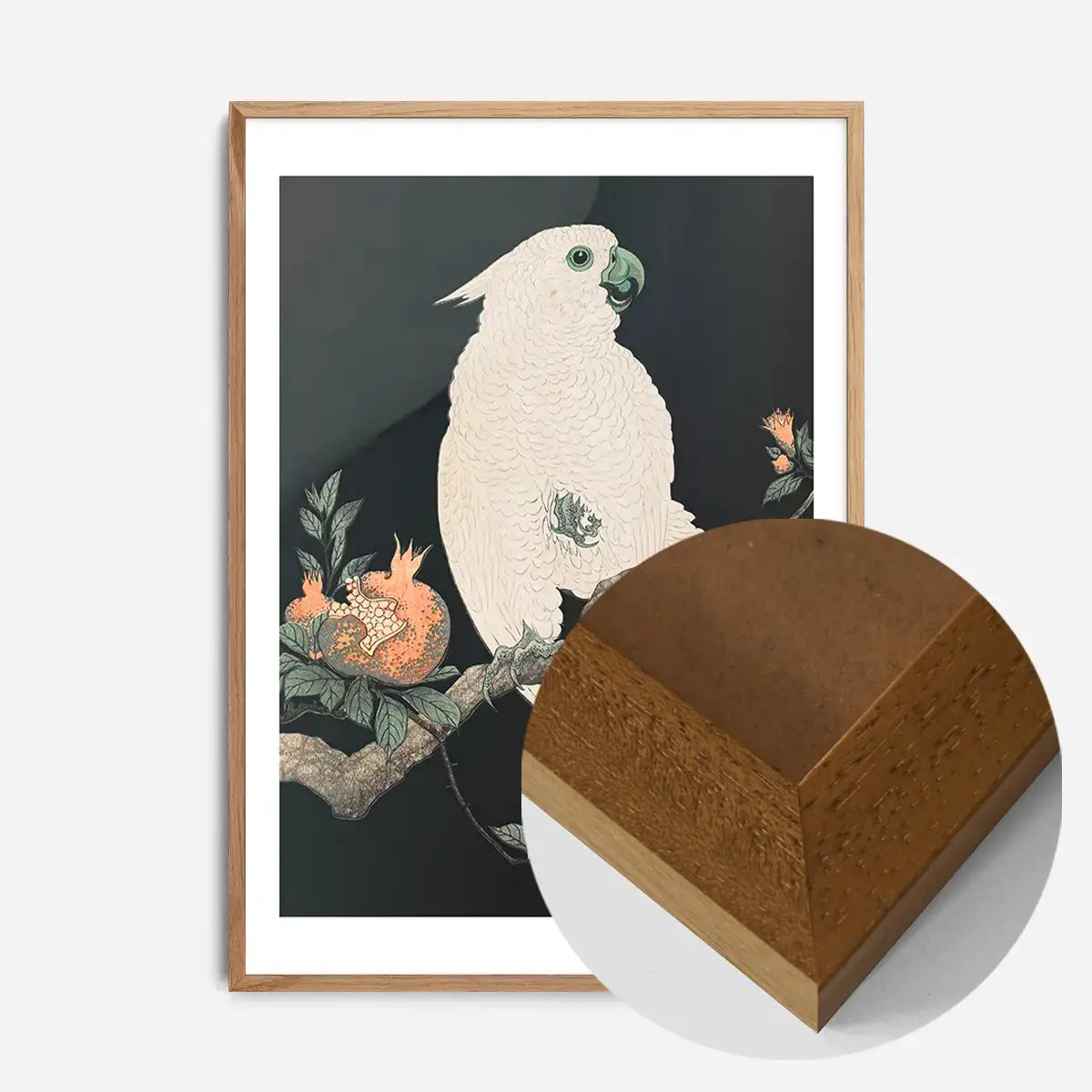 Cockatoo Parrot Antique Japanese Print