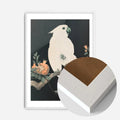 White Wood Frame
