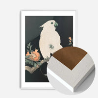 Cockatoo Parrot Antique Japanese Print