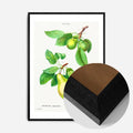 Black Wood Frame