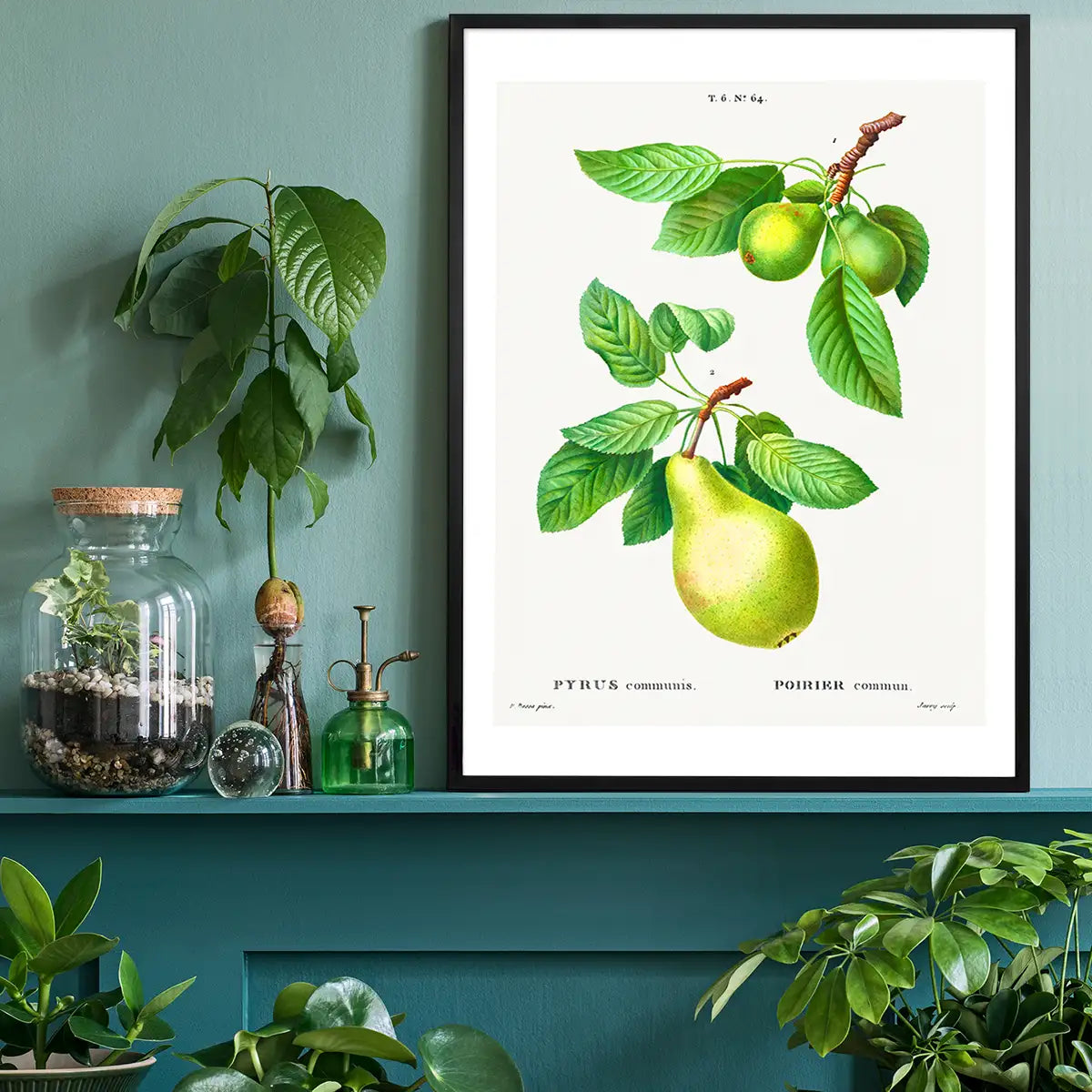 Two Pears Vintage Antique Print