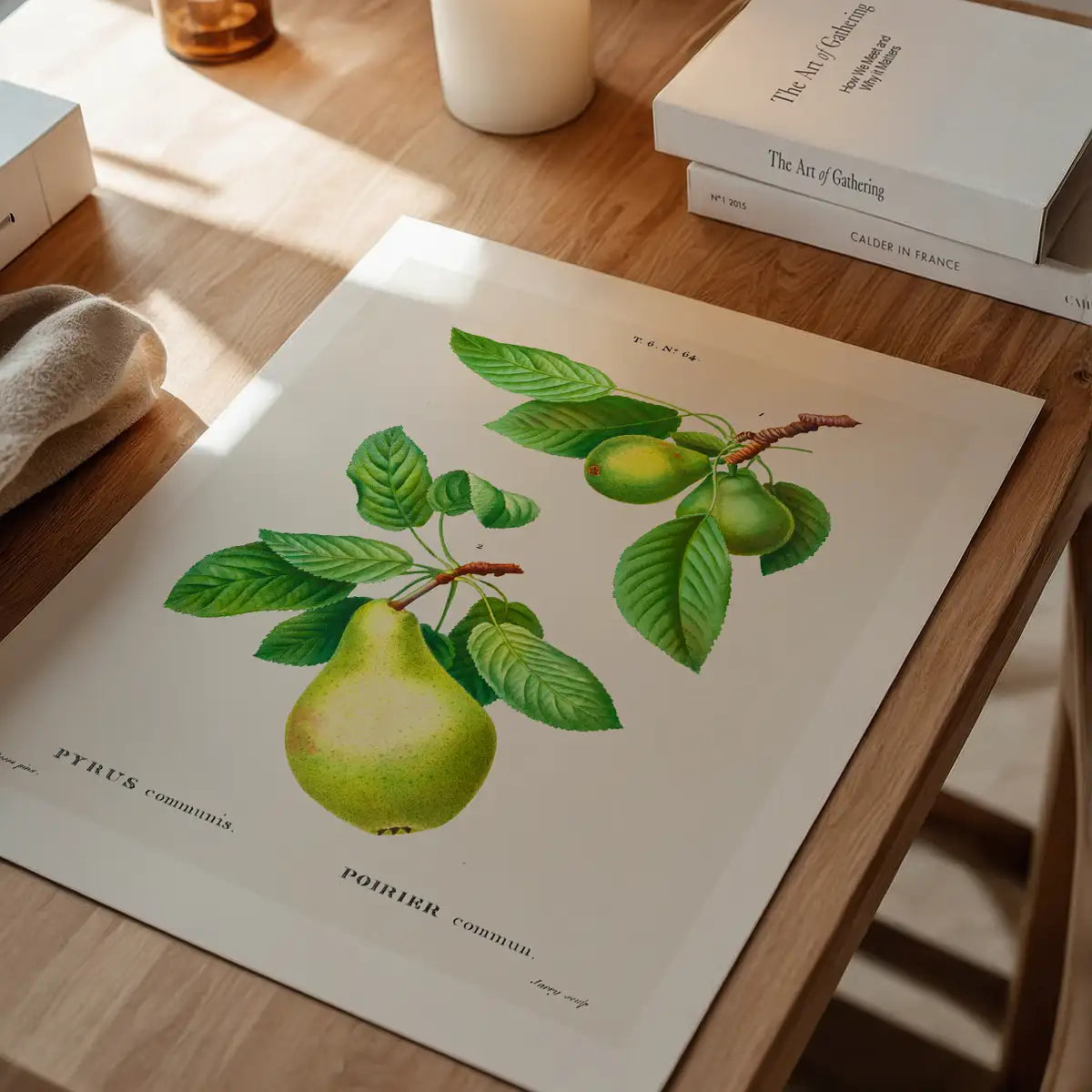 Two Pears Vintage Antique Print