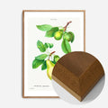 Oak Wood Frame