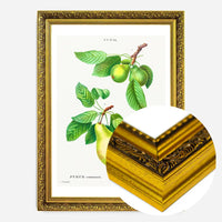 Two Pears Vintage Antique Print