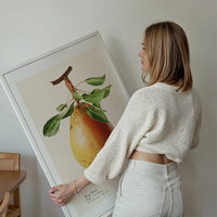Large Pear Vintage Antique Print