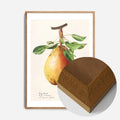 Oak Wood Frame