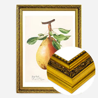 Large Pear Vintage Antique Print