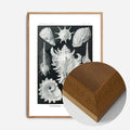 Oak Wood Frame