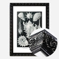 Black Ornate Frame