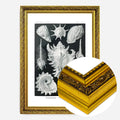 Gold Ornate Frame