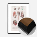 Black Wood Frame