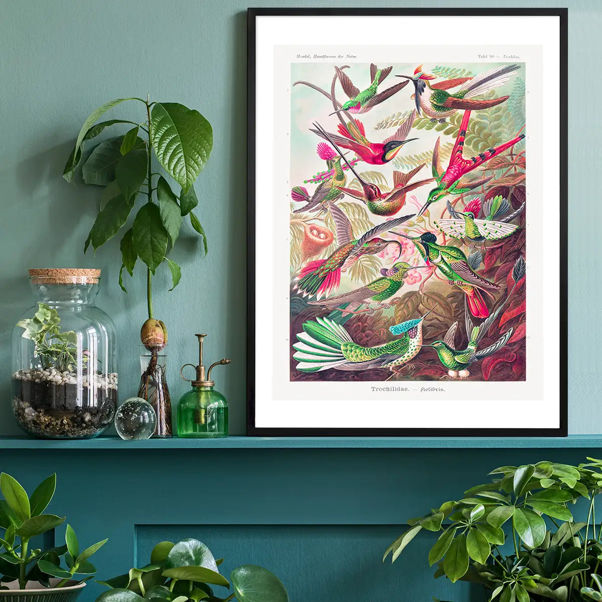Tropical Birds Vintage Antique Print