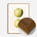 Oak Wood Frame