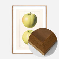 Two Apples Vintage Antique Print