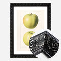 Black Ornate Frame