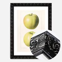 Two Apples Vintage Antique Print