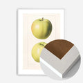 White Wood Frame