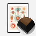 Black Wood Frame