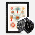 Black Ornate Frame
