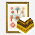Gold Ornate Frame