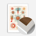 White Wood Frame