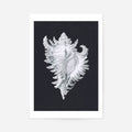 Print Only