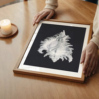 Large Conch Sea Shell Black and White Antique Print