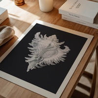 Large Conch Sea Shell Black and White Antique Print
