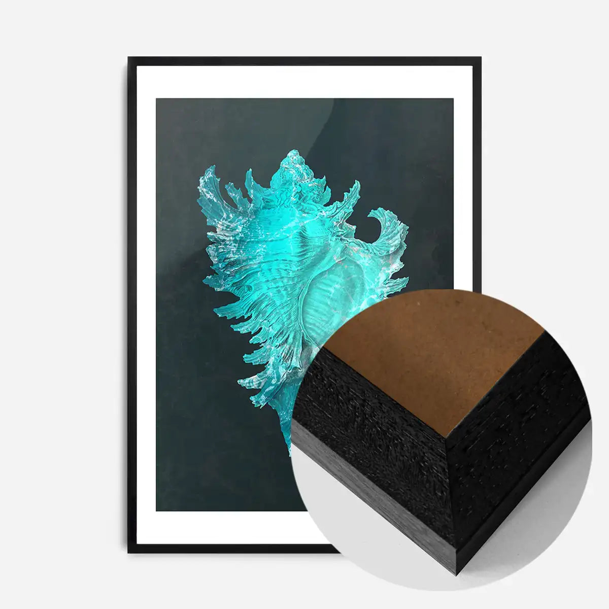 Large Conch Sea Shell Blue Antique Print