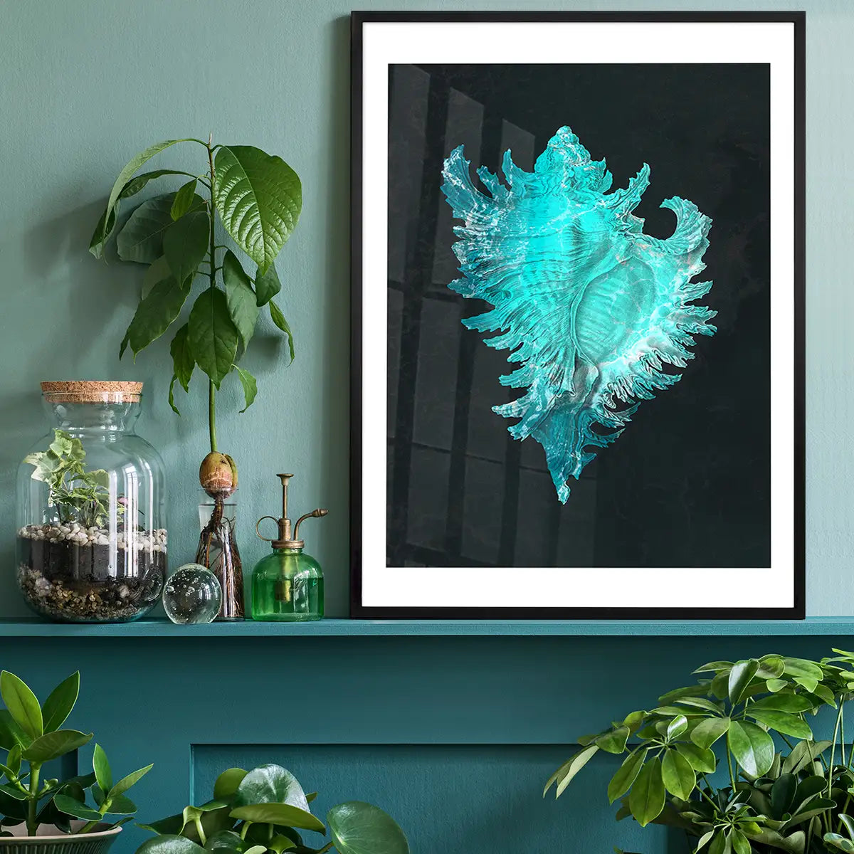 Large Conch Sea Shell Blue Antique Print