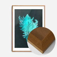Large Conch Sea Shell Blue Antique Print