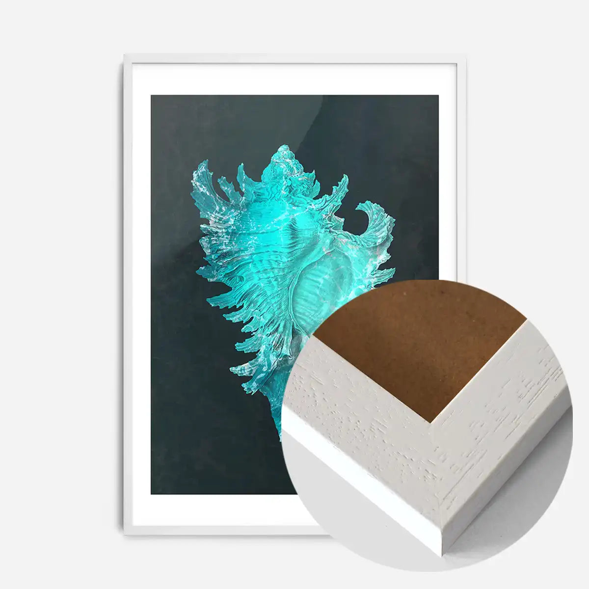 Large Conch Sea Shell Blue Antique Print