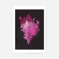 Print Only