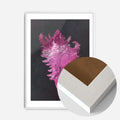 White Wood Frame