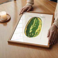 Watermelon Antique Vintage Fruit Print