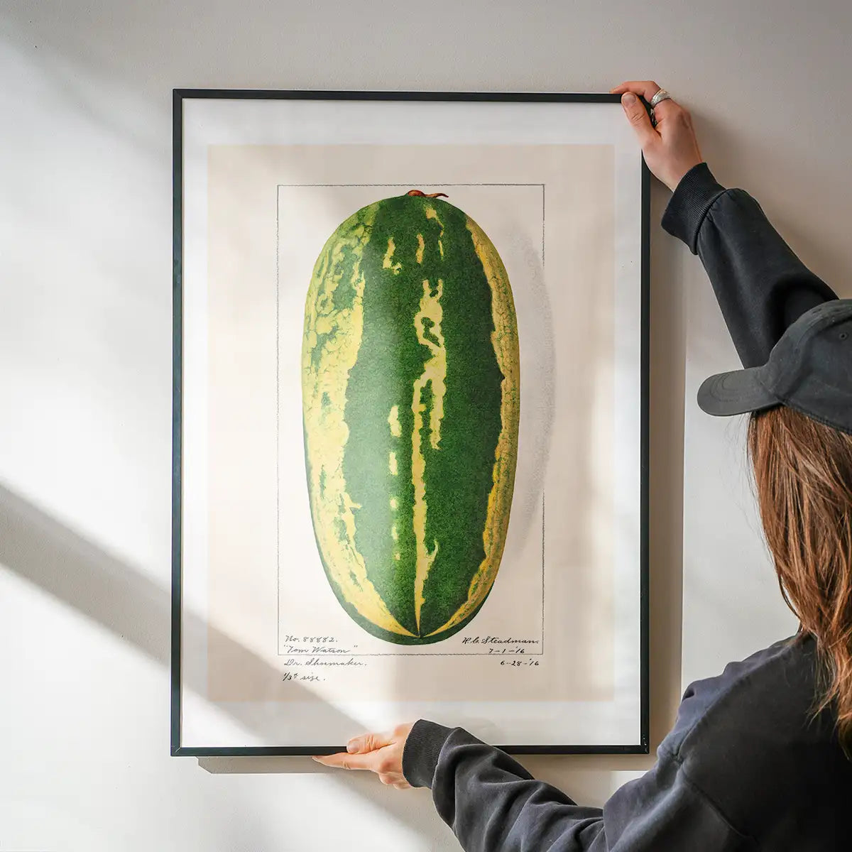 Watermelon Antique Vintage Fruit Print