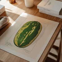 Watermelon Antique Vintage Fruit Print
