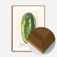 Watermelon Antique Vintage Fruit Print