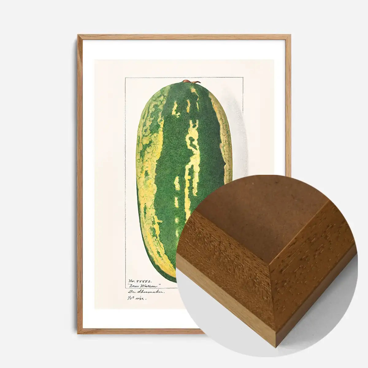 Watermelon Antique Vintage Fruit Print