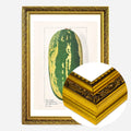 Gold Ornate Frame