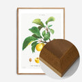 Oak Wood Frame