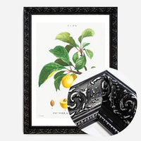 Yellow Plum Branch Antique Vintage Fruit Print