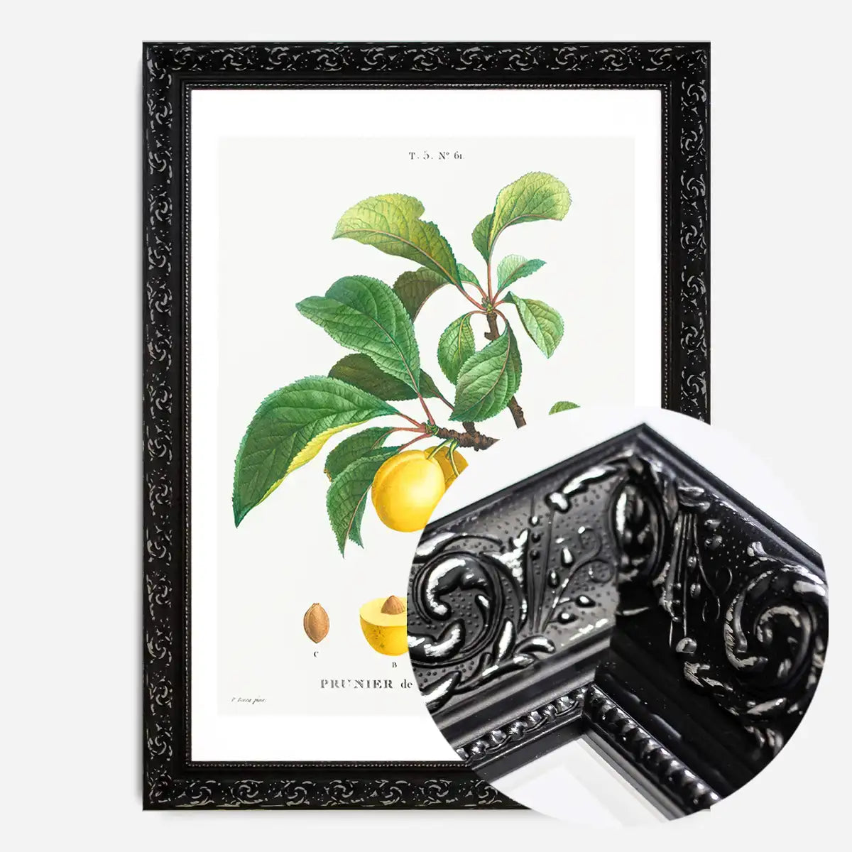 Yellow Plum Branch Antique Vintage Fruit Print
