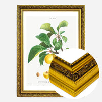 Yellow Plum Branch Antique Vintage Fruit Print