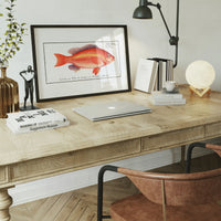 Goldfish Antique Vintage Print