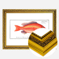 Gold Ornate Frame