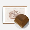 Oak Wood Frame