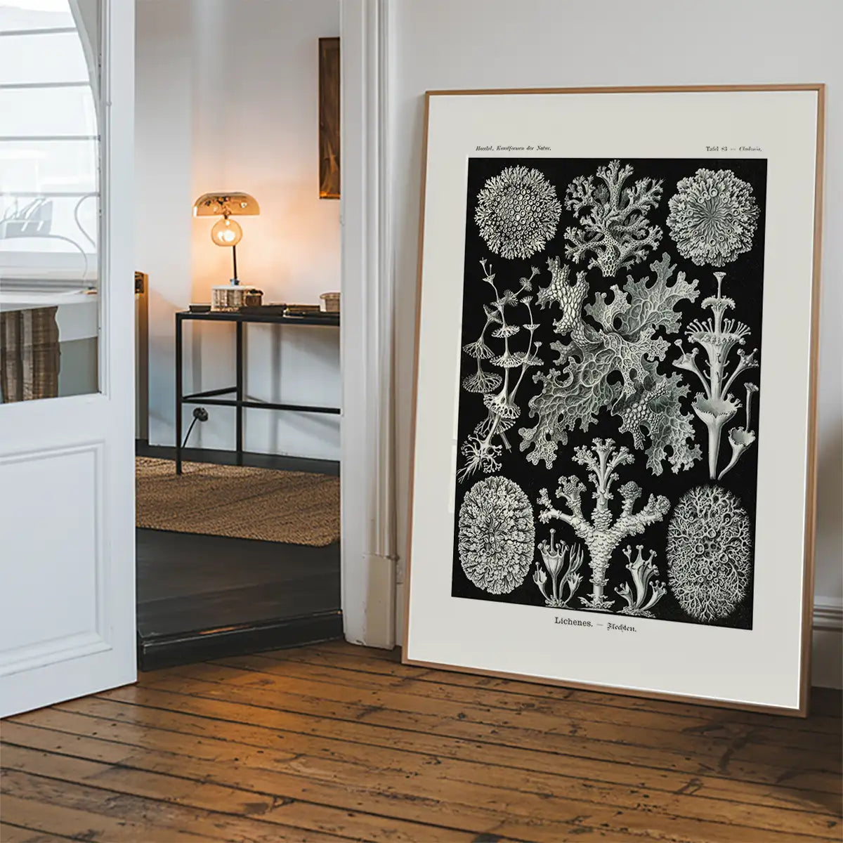 Lichens Black and White Vintage Antique Print