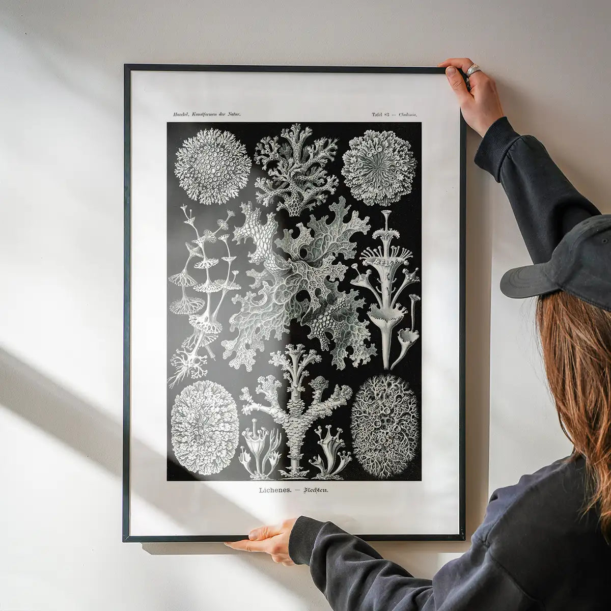 Lichens Black and White Vintage Antique Print